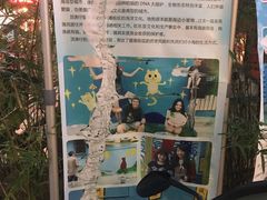 -宝旺姜母鸭(顶澳仔猫街店)