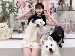 -共舞时光猫咖·狗咖(新街口店)