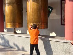 -龙口南山旅游景区