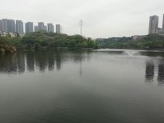 -重庆彩云湖湿地公园