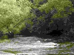 -五营红松林海景区