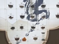 -长风拨筋养身(蟠龙天地店)