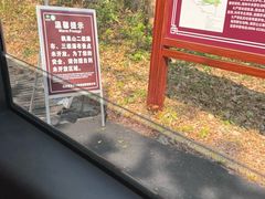 -海南热带雨林国家公园吊罗山景区