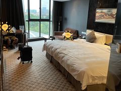 -常州环球恐龙城维景国际大酒店