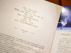 -北京大学百年讲堂