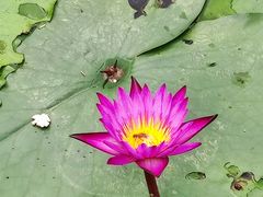 -云溪植物园