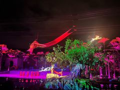 -三亚红色娘子军演艺公园景区
