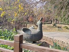 -东湖落雁景区