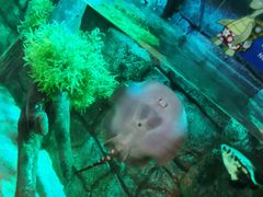 -沈阳海洋探索中心