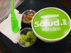 -Salud撒露欧洲冻酸奶(798艺术区店)