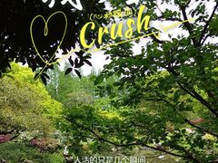 -杭州植物园