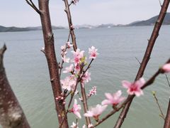 -东钱湖小普陀景区