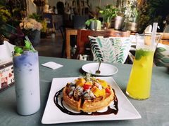 -蓝山四季西餐植物店