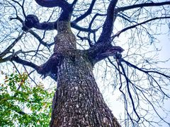 -终南山南五台景区