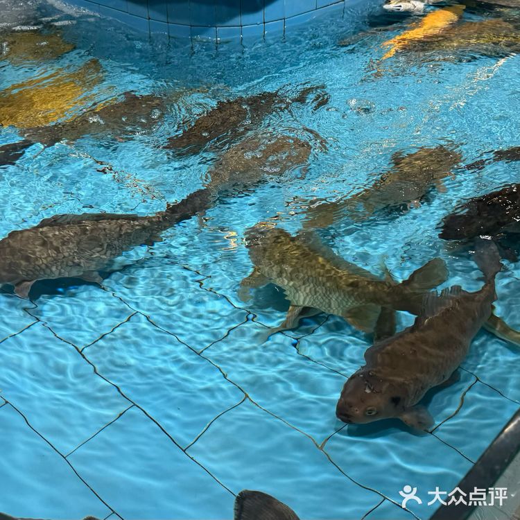 北京｜藏在角落里的宝藏温州菜馆