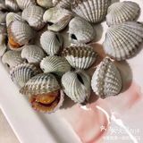 温州海鲜大排档代表[得意]正宗的温州味道