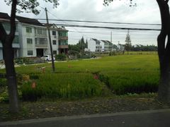 -锦江中华村农家乐饭庄