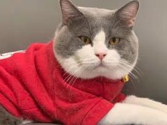 -客栈猫舍(中央北路店)