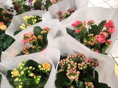 -大润发(国兴店)