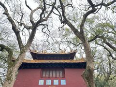 -普陀山风景名胜区-法雨禅寺