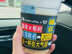 -瑞幸咖啡(水平方店)