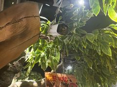 -城墙拐拐火锅(三峡广场黑金冠店)