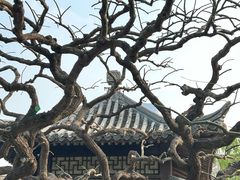 -团结湖公园