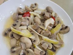 -东康桂家农庄