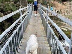 -香桥岩溶国家地质公园