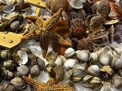 -沈阳和平艾美酒店新食谱西餐厅