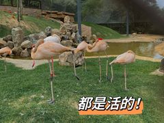 -沈阳森林动物园