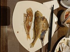 -东华假日酒店自助餐