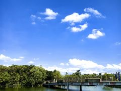 -上海吴淞炮台湾国家湿地公园