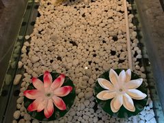 -樱蘭·影院足道·养生SPA(三里屯店)