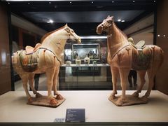 -西安大唐西市博物馆