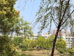 -潜山国家森林公园