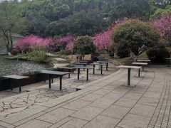 -食膳公园包子铺(烈士公园店)