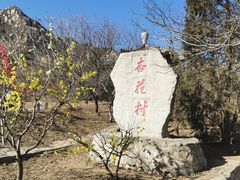-北京凤凰岭
