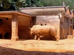 -昆明动物园