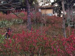 -桃花涧