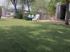 -宠物寄养训练学校