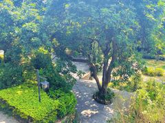 -草庵摩尼教遗址公园