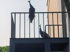 -扬州瘦西湖温泉
