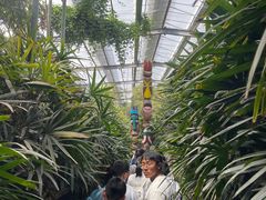 -呀路古热带植物园
