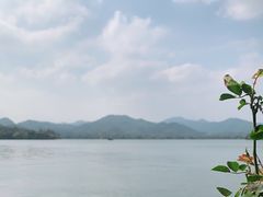 -柳莺湖上·湖景餐厅·江南菜(西湖店)