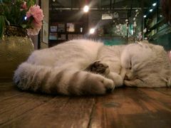 android_upload_pic-MIKAKU(万达广场上海宝山店)