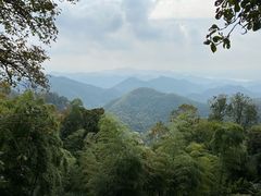-莫干山风景区