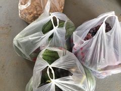 -庞各庄翠芳园西瓜蔬菜基地采摘园