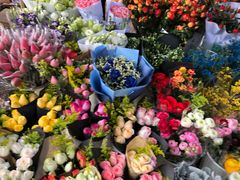 -三圣花乡旅游区