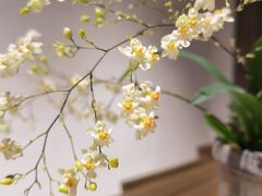 -冰拾叁(新都店)